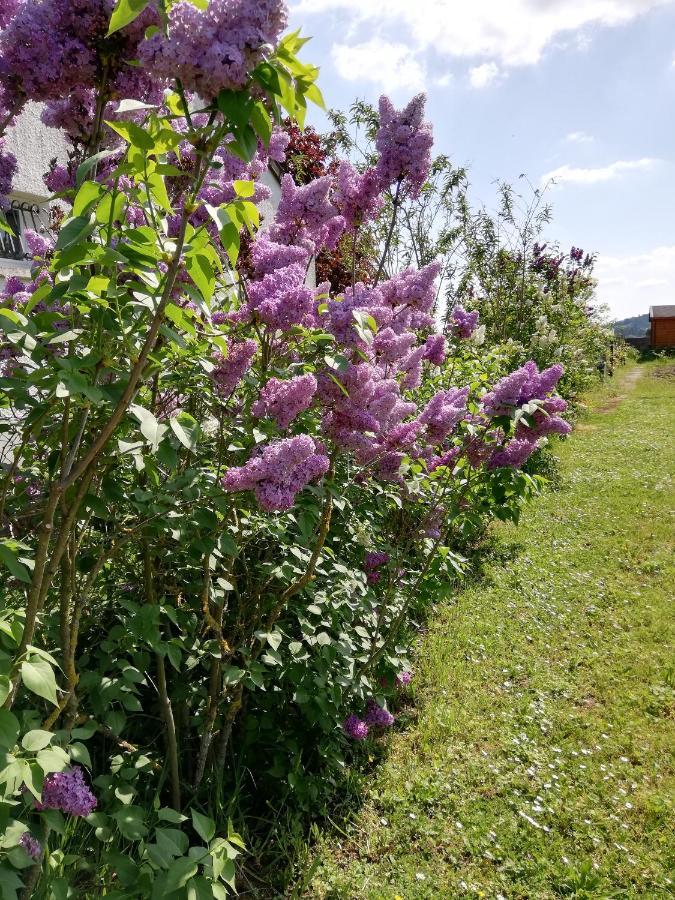 Chambre au calme à la campagne avec piscine idéale étape ou déplacement pro Vaux-sur-Vienne Exterior foto