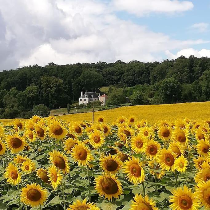Chambre au calme à la campagne avec piscine idéale étape ou déplacement pro Vaux-sur-Vienne Exterior foto